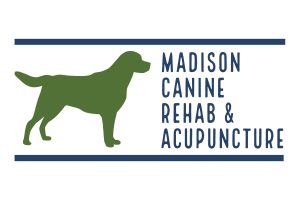 Madison Canine Rehabilitation